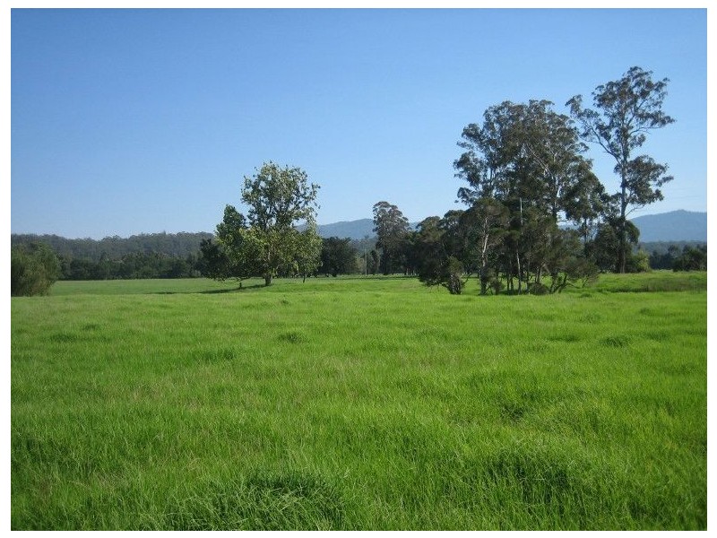 503 Monaro Highway, Noorinbee VIC 3890
