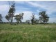 1674 Princes Highway, Flynn VIC 3844