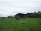 1674 Princes Highway, Flynn VIC 3844