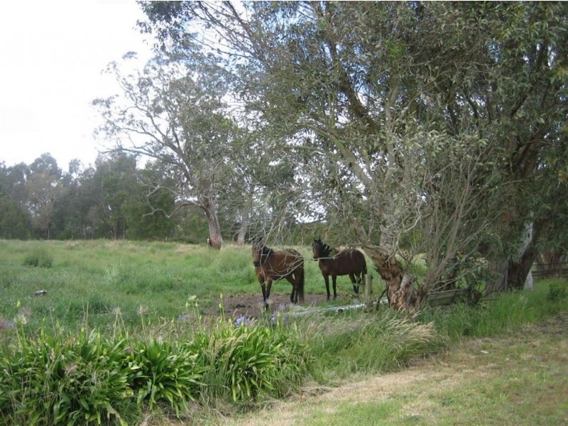 185 Taylors Road, Willung VIC 3847