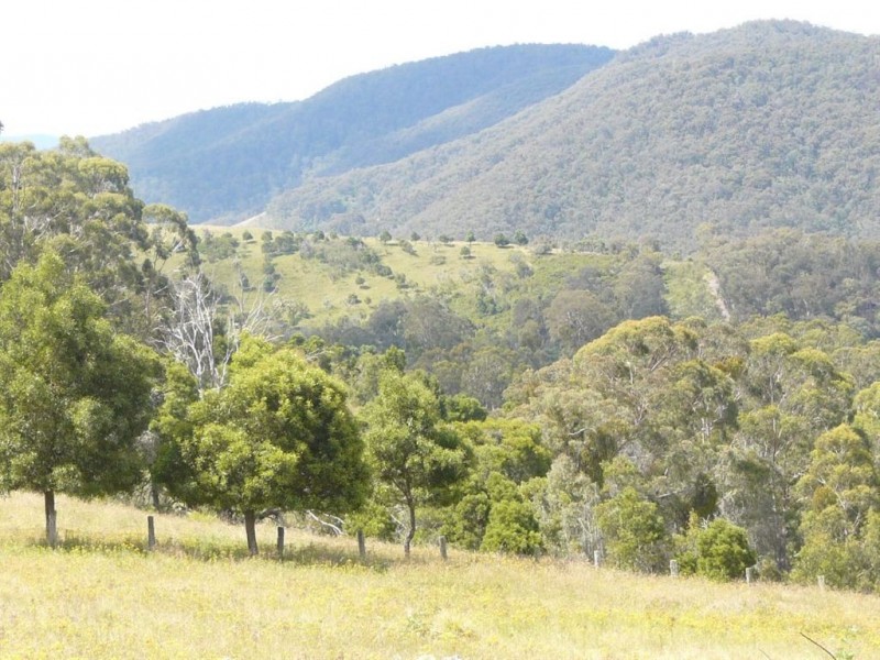 176 Hunters Lane, Buchan VIC 3885