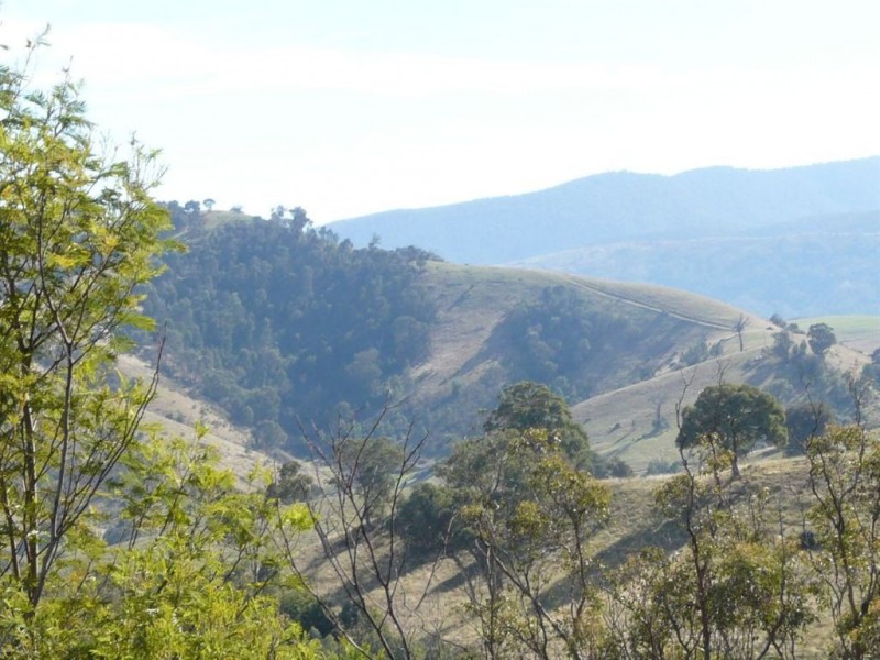 738 Bindi Road, Bindi VIC 3896