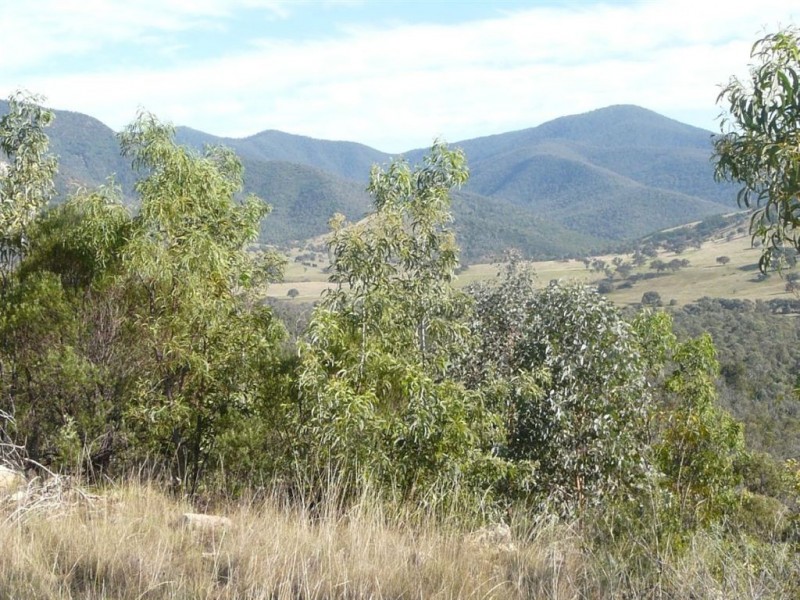 738 Bindi Road, Bindi VIC 3896