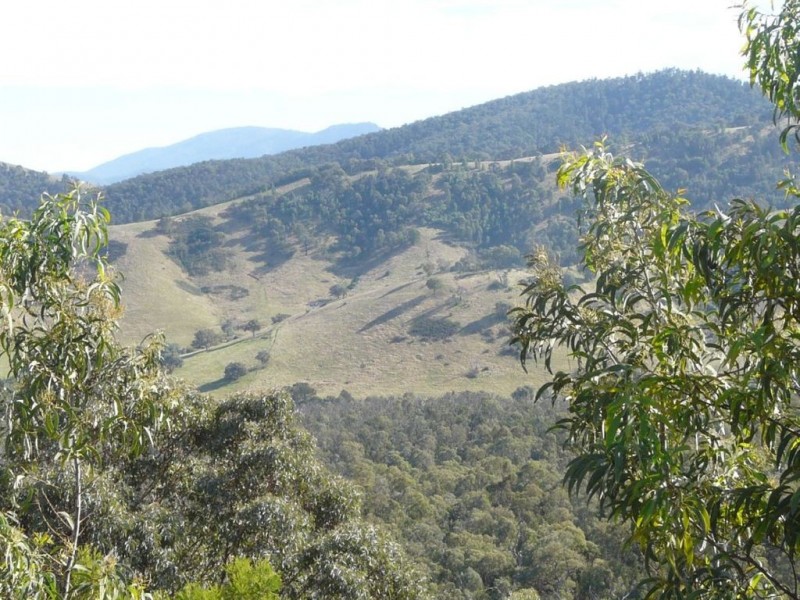 738 Bindi Road, Bindi VIC 3896