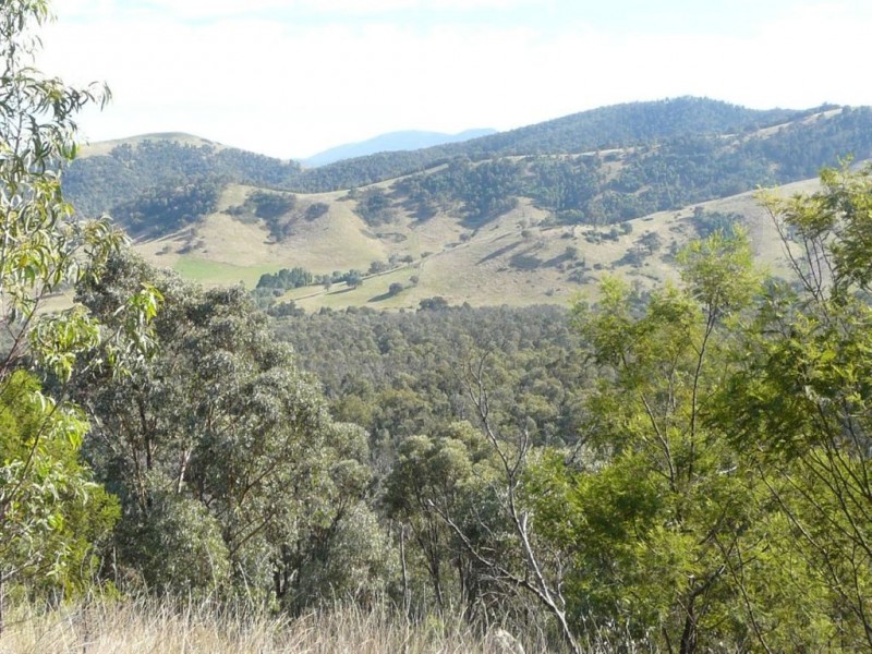 738 Bindi Road, Bindi VIC 3896