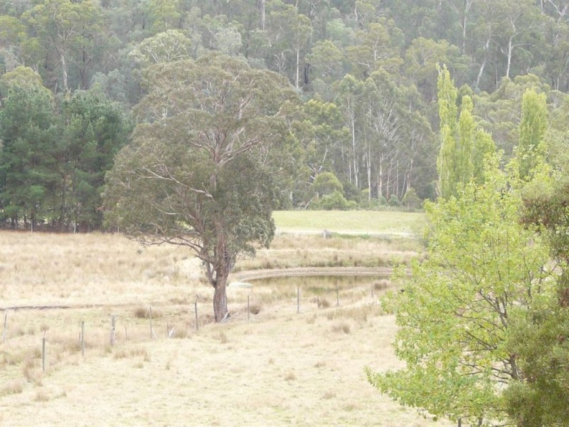 5345 Dargo Road, Cobbannah VIC 3862