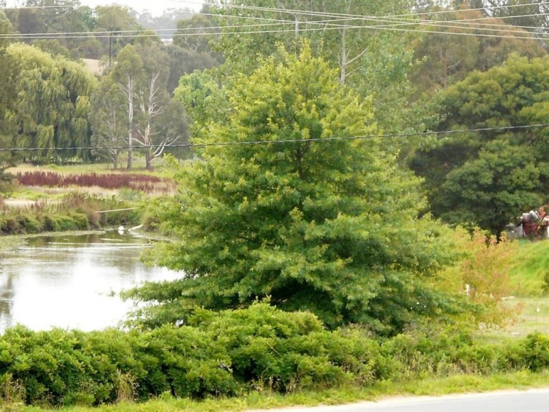 8 Riley Street, Bairnsdale VIC 3875