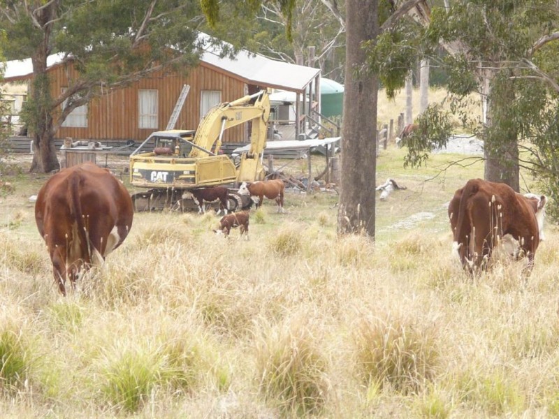 3954 Tulloch Ard Road, Buchan VIC 3885