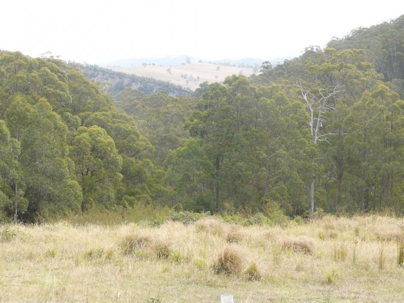 3954 Tulloch Ard Road, Buchan VIC 3885