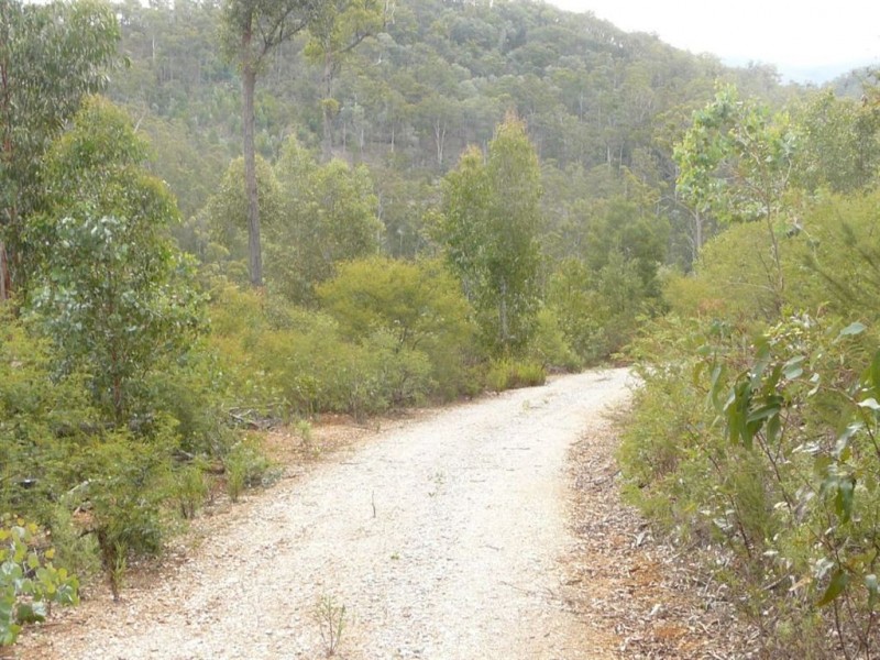 3954 Tulloch Ard Road, Buchan VIC 3885