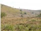 1321 Gelantipy Road, Murrindal VIC 3885