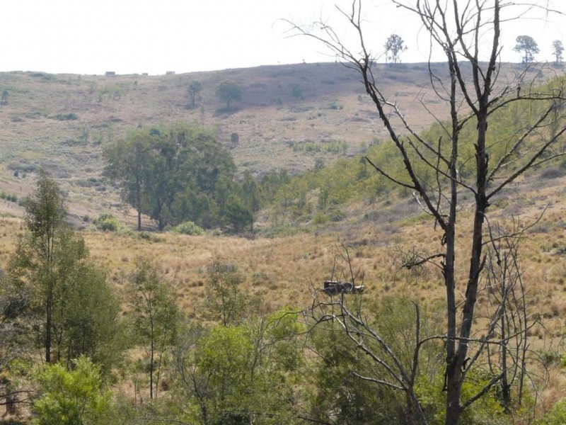 1321 Gelantipy Road, Murrindal VIC 3885