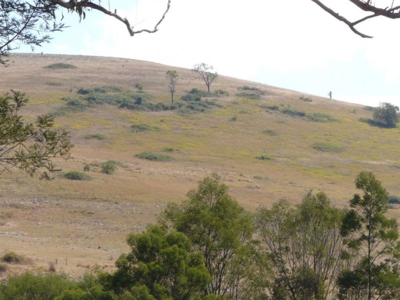1321 Gelantipy Road, Murrindal VIC 3885