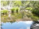 1321 Gelantipy Road, Murrindal VIC 3885