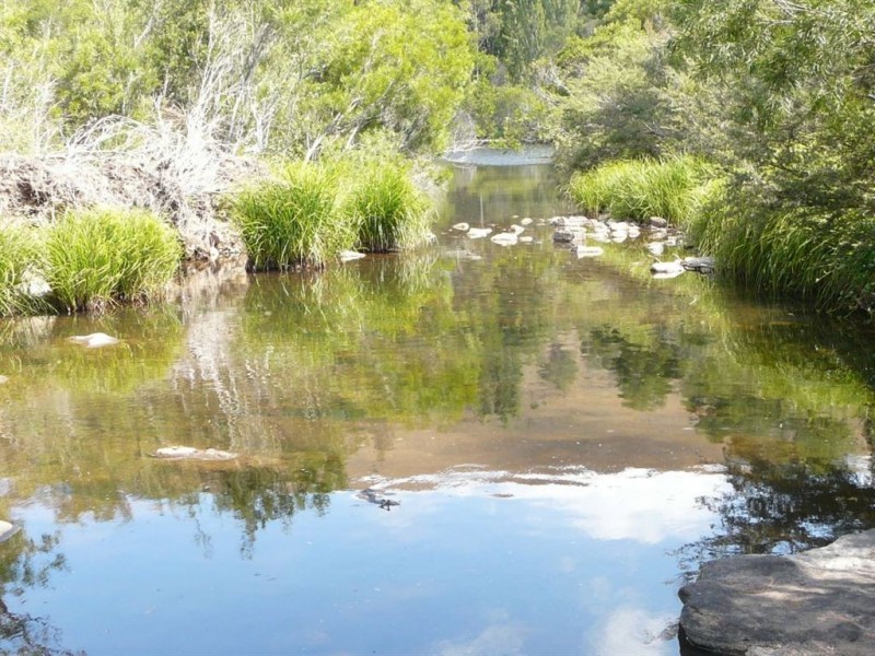 1321 Gelantipy Road, Murrindal VIC 3885