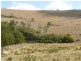 1321 Gelantipy Road, Murrindal VIC 3885