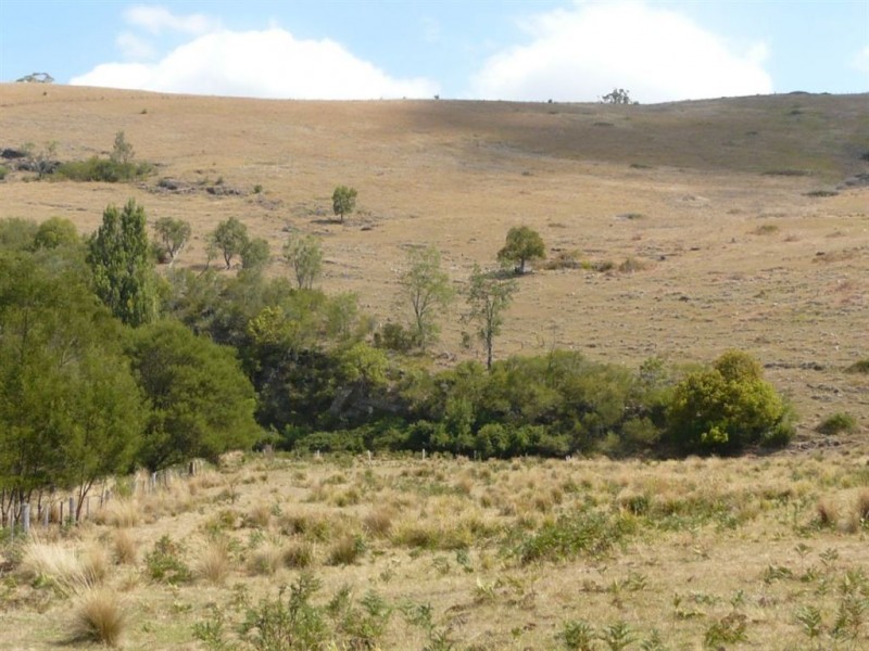1321 Gelantipy Road, Murrindal VIC 3885