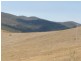 1321 Gelantipy Road, Murrindal VIC 3885