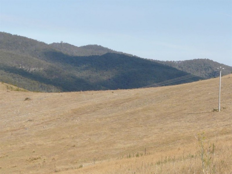 1321 Gelantipy Road, Murrindal VIC 3885