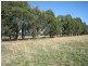 10 Shields Road, Flynn VIC 3844