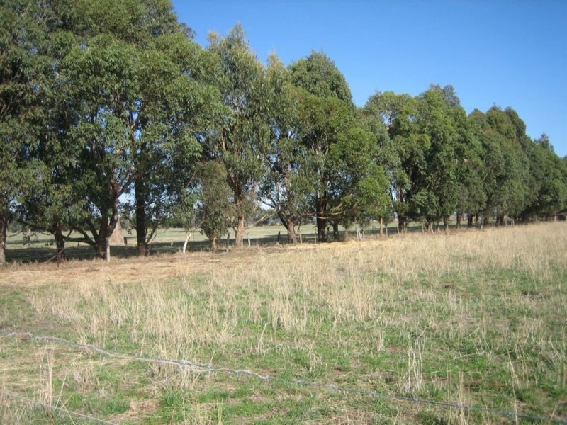 10 Shields Road, Flynn VIC 3844