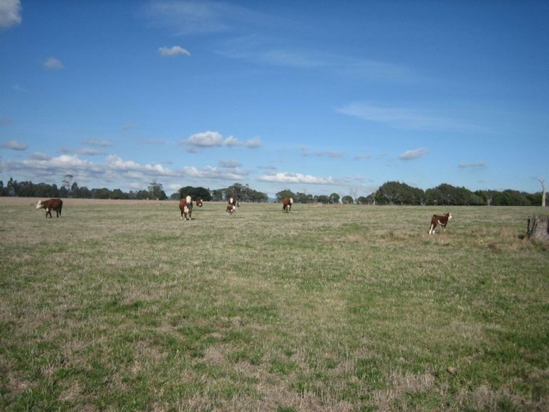 10 Shields Road, Flynn VIC 3844
