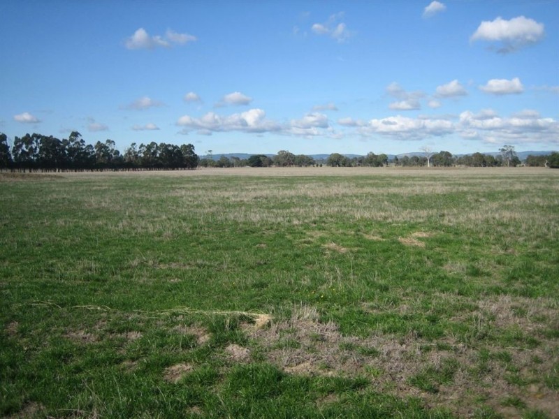10 Shields Road, Flynn VIC 3844