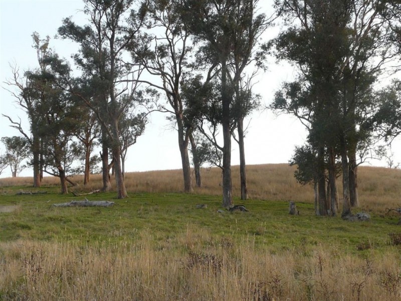 558 Timbarra Road, Buchan VIC 3885