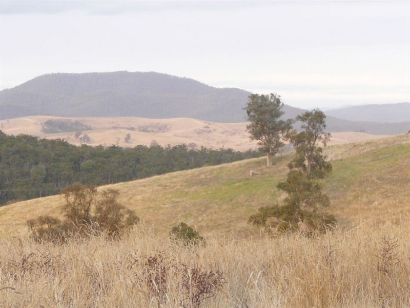 558 Timbarra Road, Buchan VIC 3885