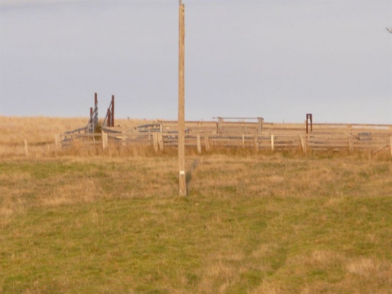 558 Timbarra Road, Buchan VIC 3885