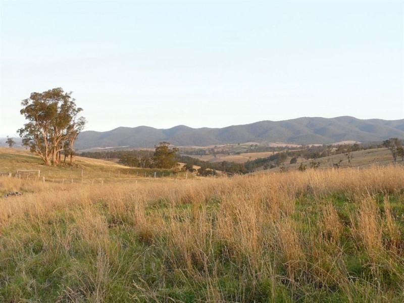 558 Timbarra Road, Buchan VIC 3885