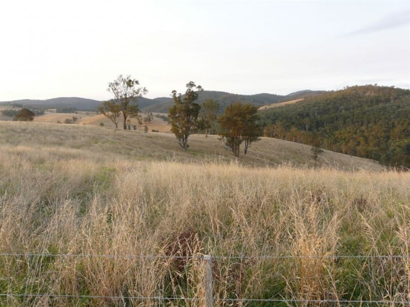 558 Timbarra Road, Buchan VIC 3885