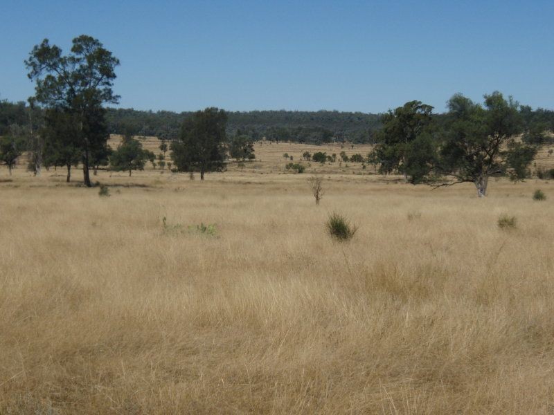 000 Wambianna Road, Millmerran QLD 4357
