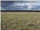 000 Wambianna Road, Millmerran QLD 4357