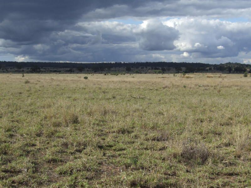 000 Wambianna Road, Millmerran QLD 4357
