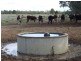 000 Wambianna Road, Millmerran QLD 4357