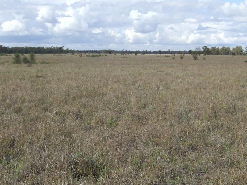 000 Wambianna Road, Millmerran QLD 4357