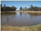 000 Wambianna Road, Millmerran QLD 4357