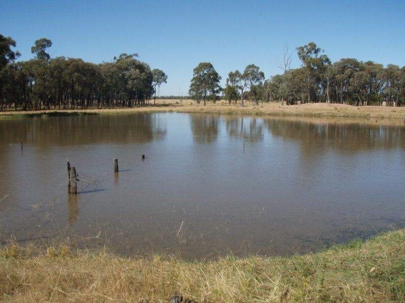 000 Wambianna Road, Millmerran QLD 4357