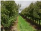 2772 Amiens Road, Stanthorpe QLD 4380