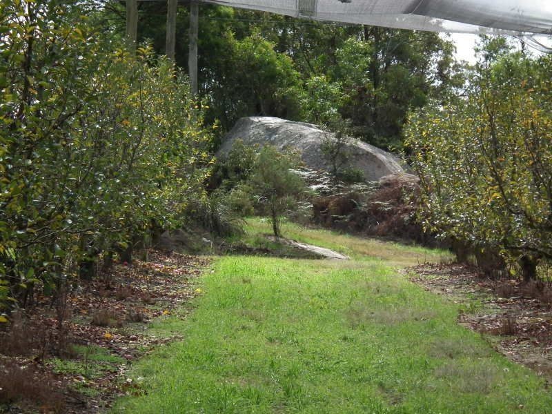 2772 Amiens Road, Stanthorpe QLD 4380