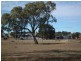 000 Millmerran-Inglewood Road, Millmerran QLD 4357