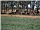 000 Millmerran-Inglewood Road, Millmerran QLD 4357
