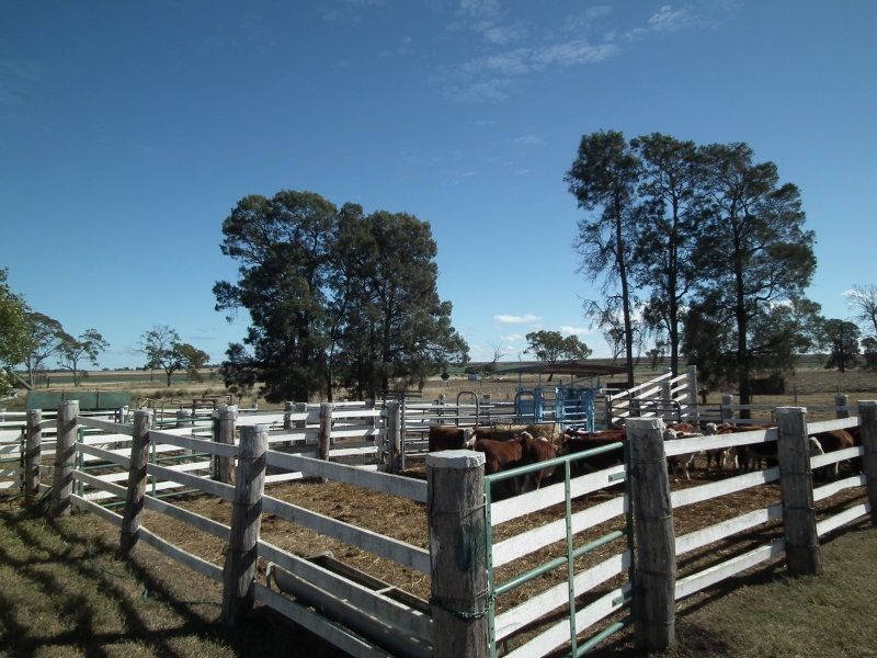 000 Millmerran-Inglewood Road, Millmerran QLD 4357