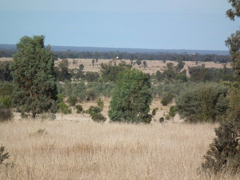 Rossmore Flinton, Moonie QLD 4406