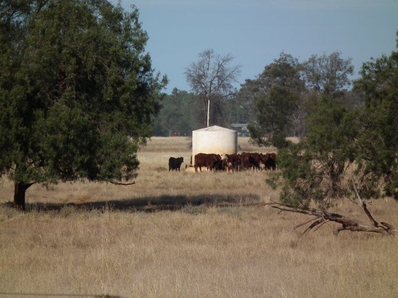 Rossmore Flinton, Moonie QLD 4406