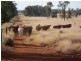 Rossmore Flinton, Moonie QLD 4406