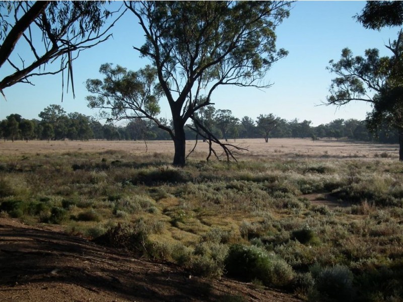 0 Rodgers Creek Road, Warwick QLD 4370