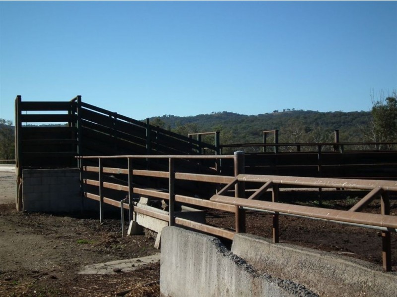 0 Rodgers Creek Road, Warwick QLD 4370