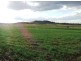 Lintonvale Arnold Road, Linthorpe, Pittsworth QLD 4356